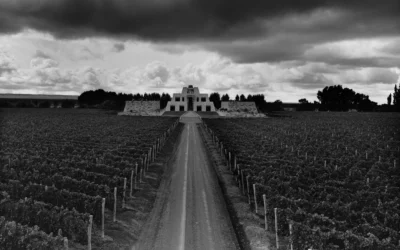 100 puntos Experience